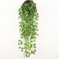 Plantas Decorativas-4Evah Young
