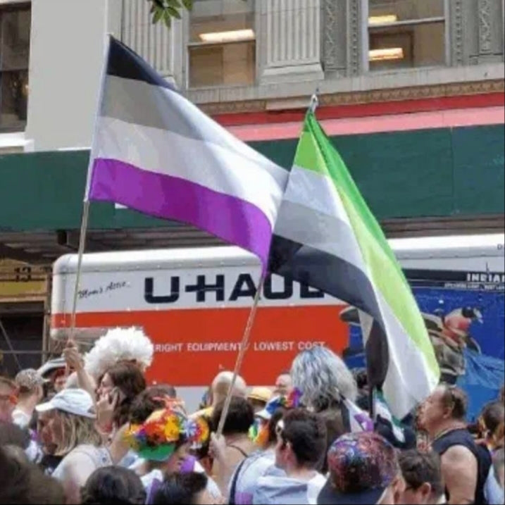 Bandeira Arromântico Pride-4Evah Young