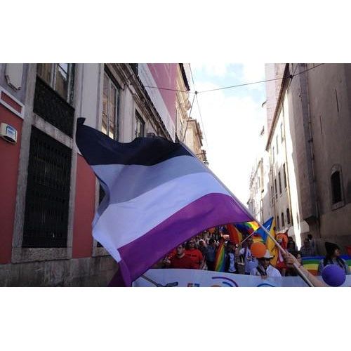 Bandeira Assexual Pride-4Evah Young